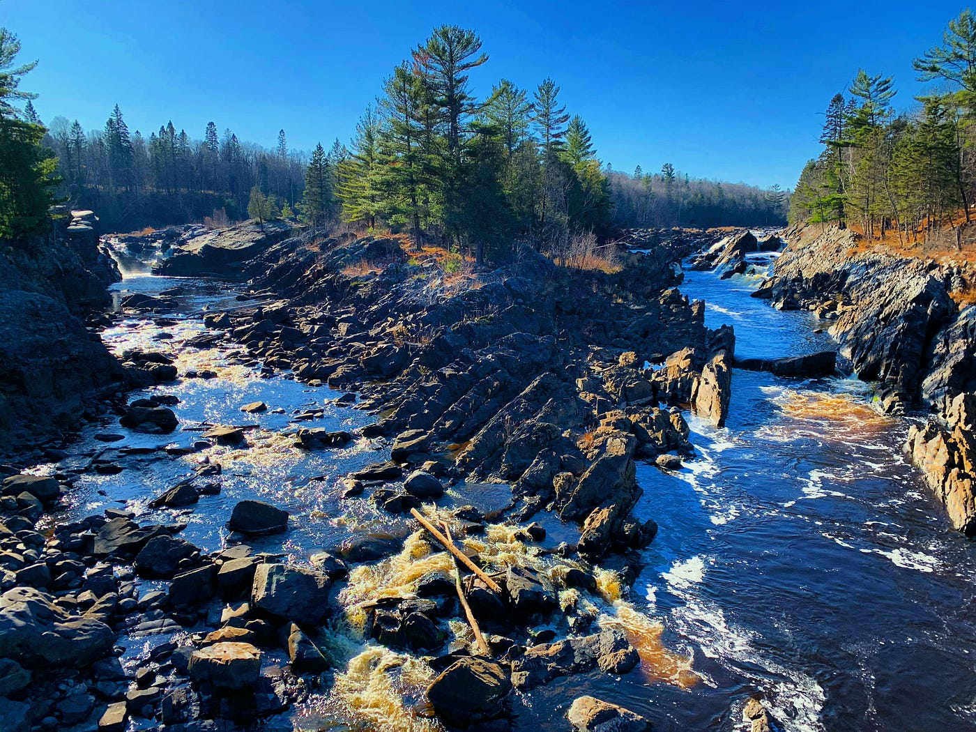 A scenic landscape photograph of a river flowing over a rugged, rocky bed, splitting into turbulent streams amidst a forest of pine trees under a clear blue sky.